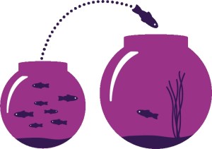 Fish in a Bigger Fishbowl