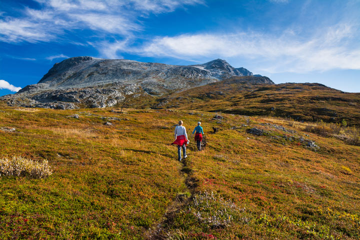 Don’t Let Bad UX Kill Your Open Data – Part&nbsp;2