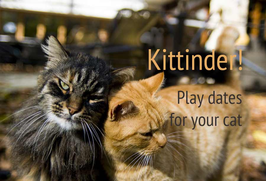 Don’t Let Bad UX Kill Your Open Data – Part 1 – Stuart Ridgway